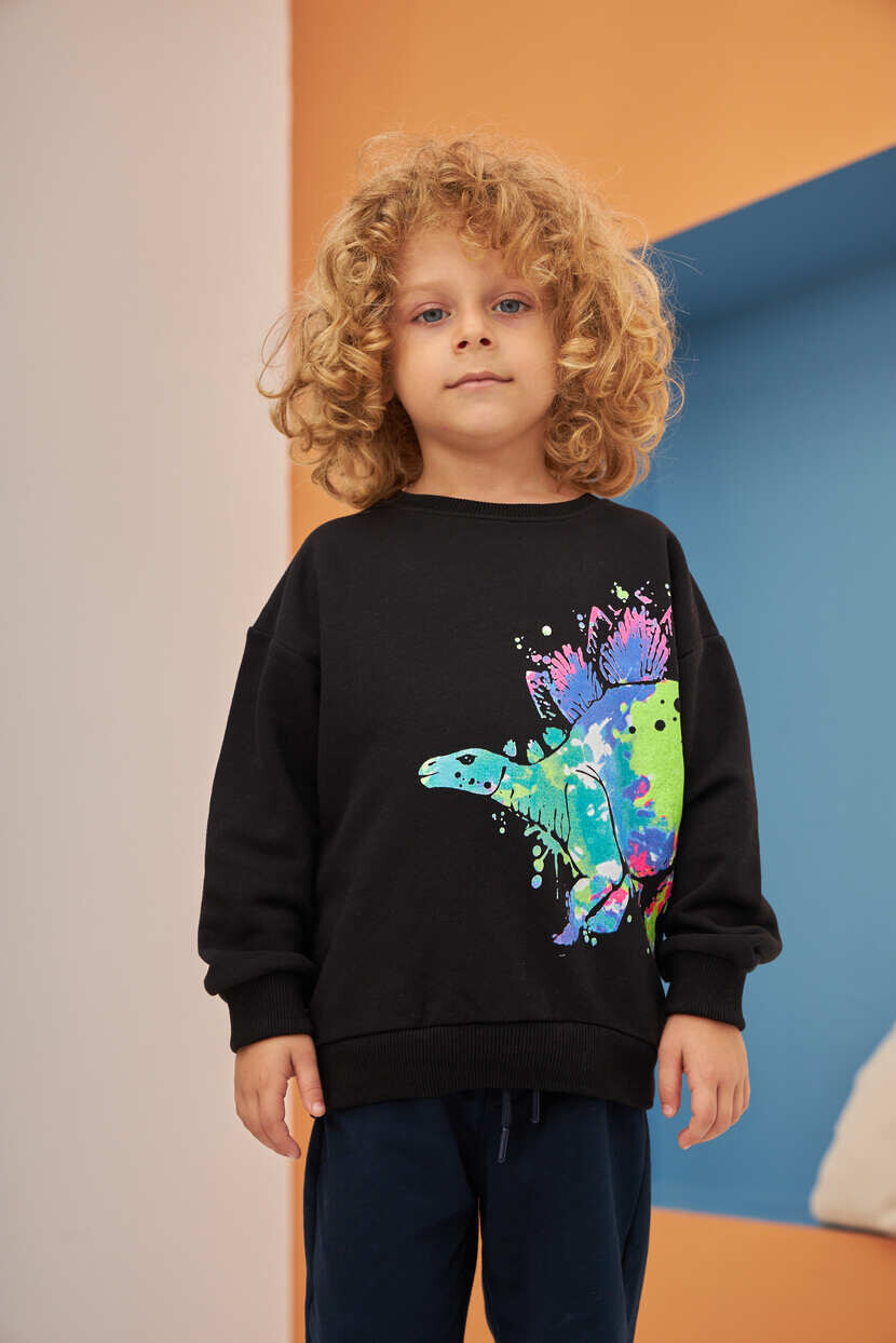 ERKEK DİNAZOR BASKILI SWEATSHIRT