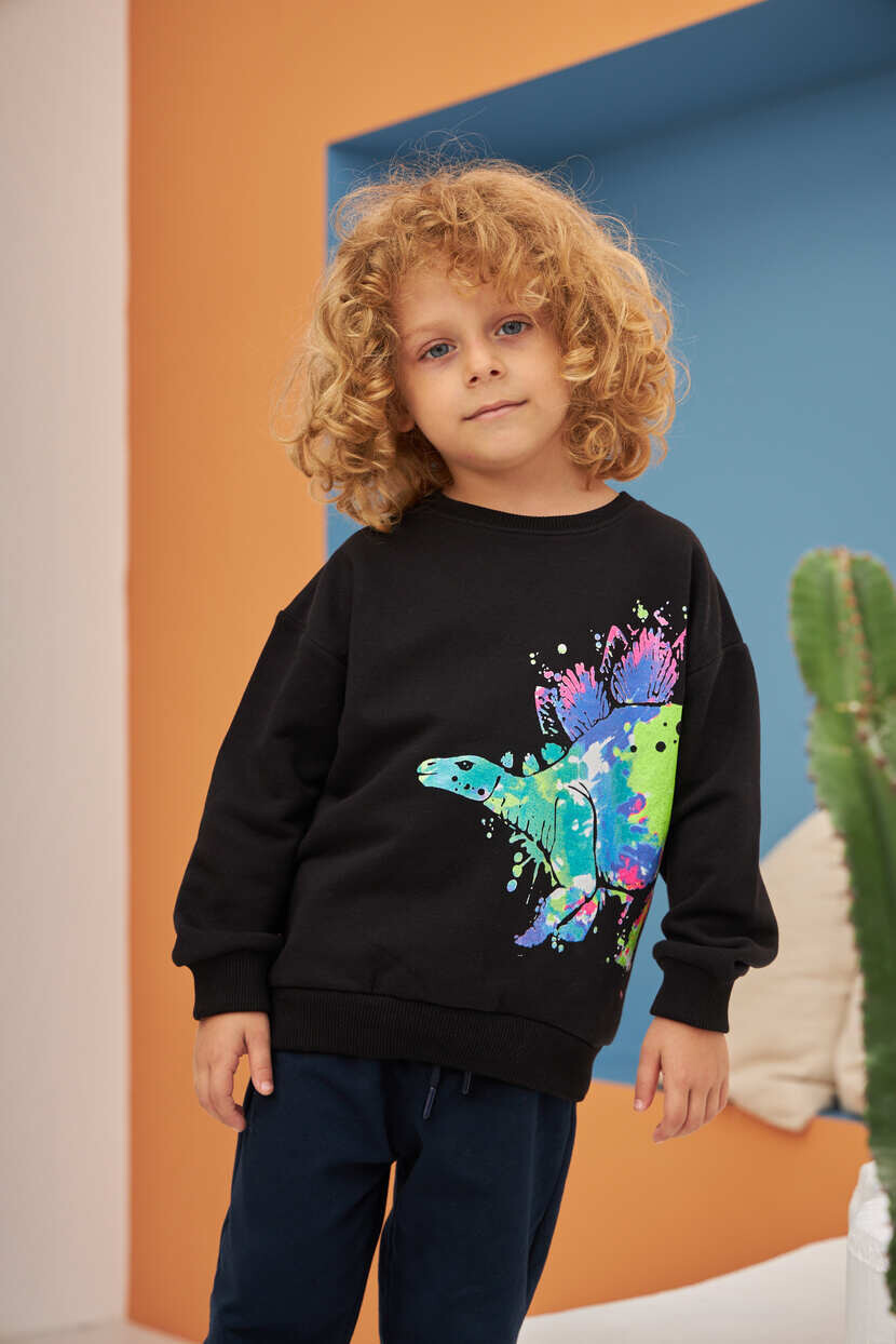 ERKEK DİNAZOR BASKILI SWEATSHIRT