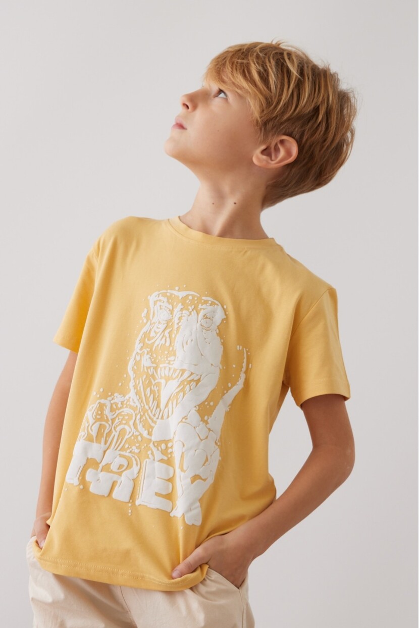 ERKEK SARI DİNOZORLU TSHİRT