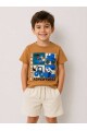 ERKEK SEVİMLİ KAMYON BASKILI ŞORTLU TAKIM